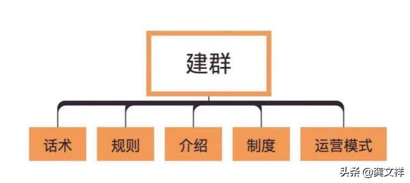 500万用户的社交电商平台社群分层运营模型「第219期触电夜话」