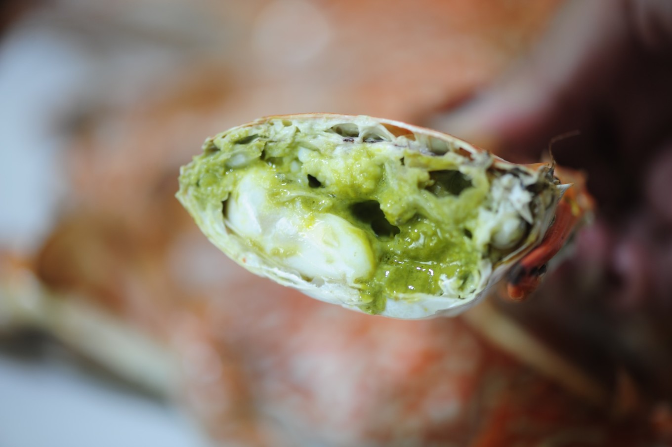 北纬43度的浪漫中国,吴川哪个海看日出最好看