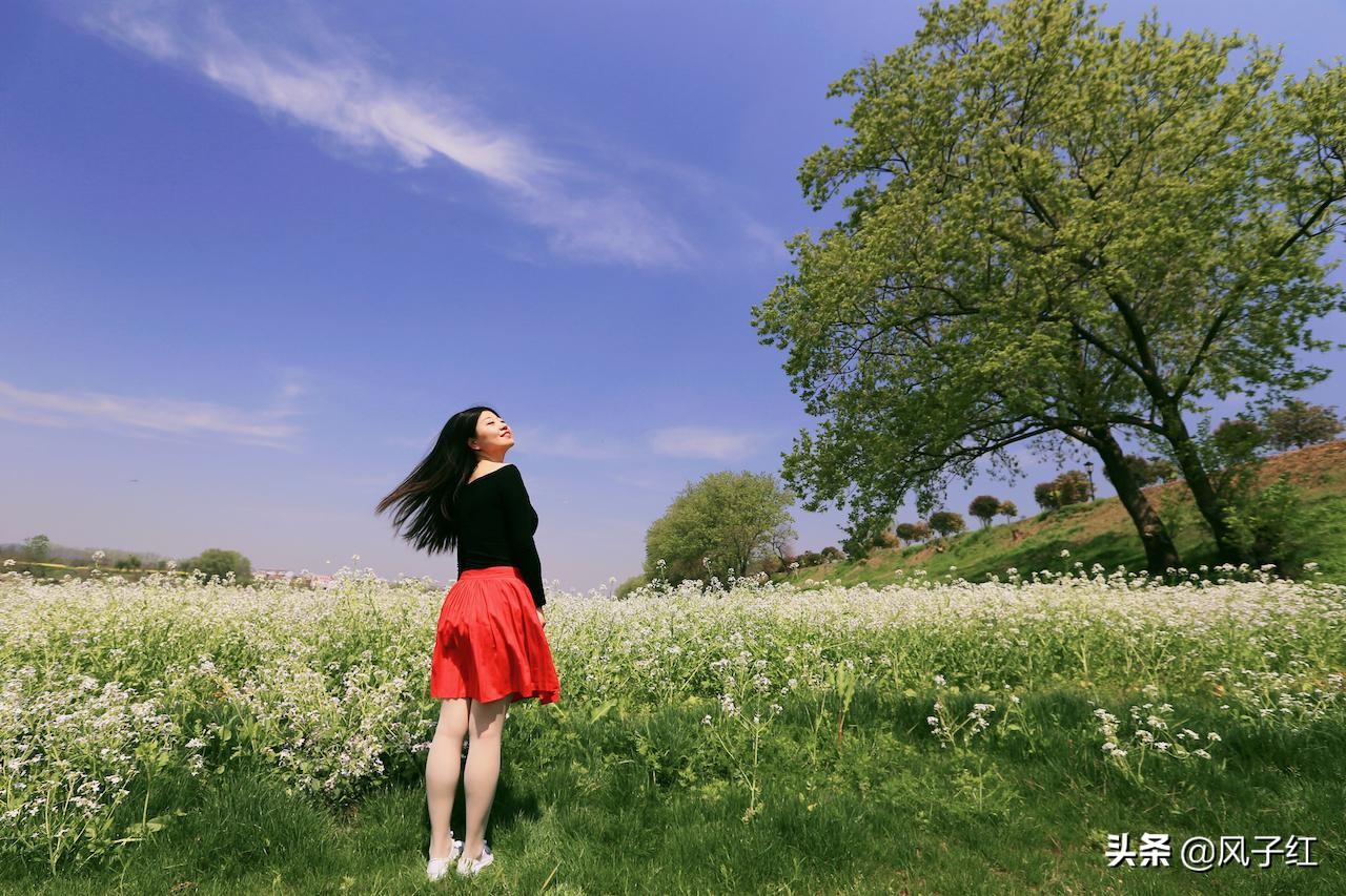 武汉黄陂旅游住宿攻略,黄陂艳阳天酒店价格表