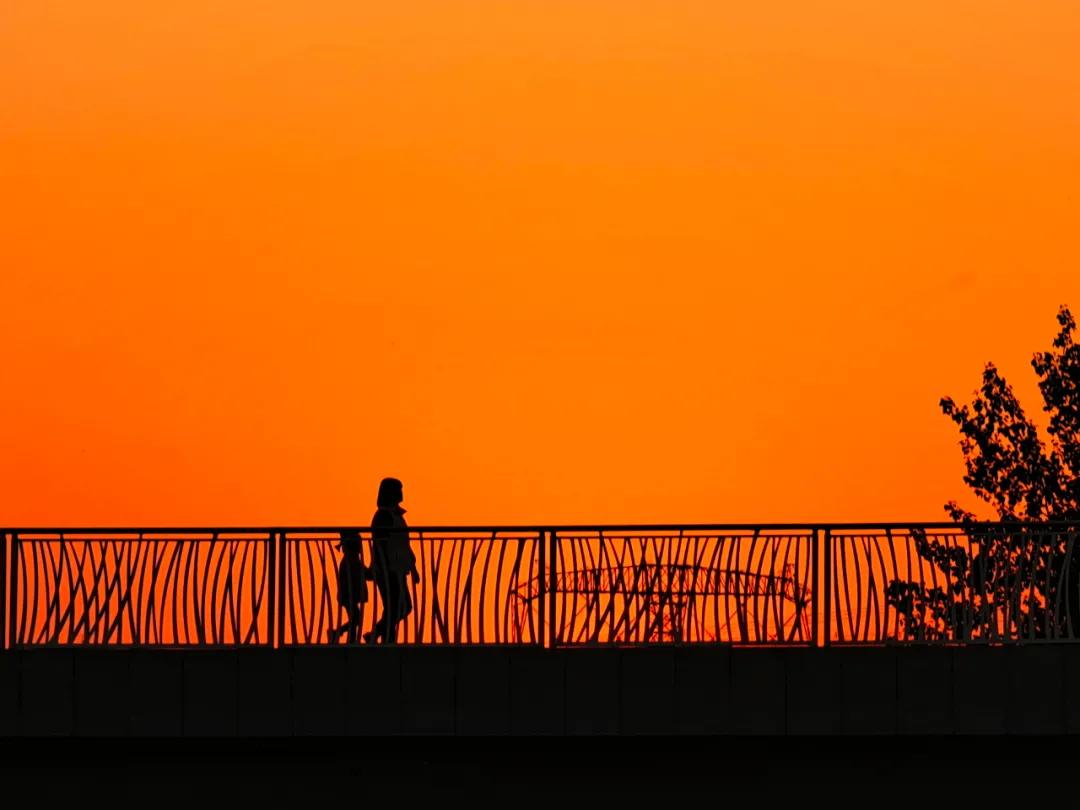 「第1期」2020年大美社群优秀作品回顾