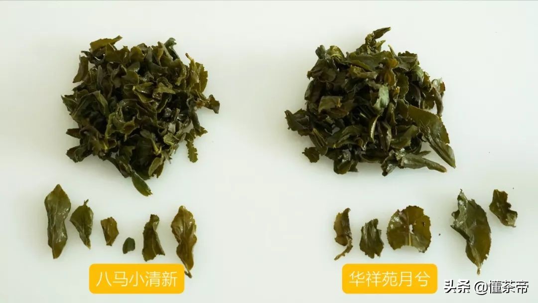 传奇铁观音和八马铁观音哪个好,华祥苑铁观音哪种好