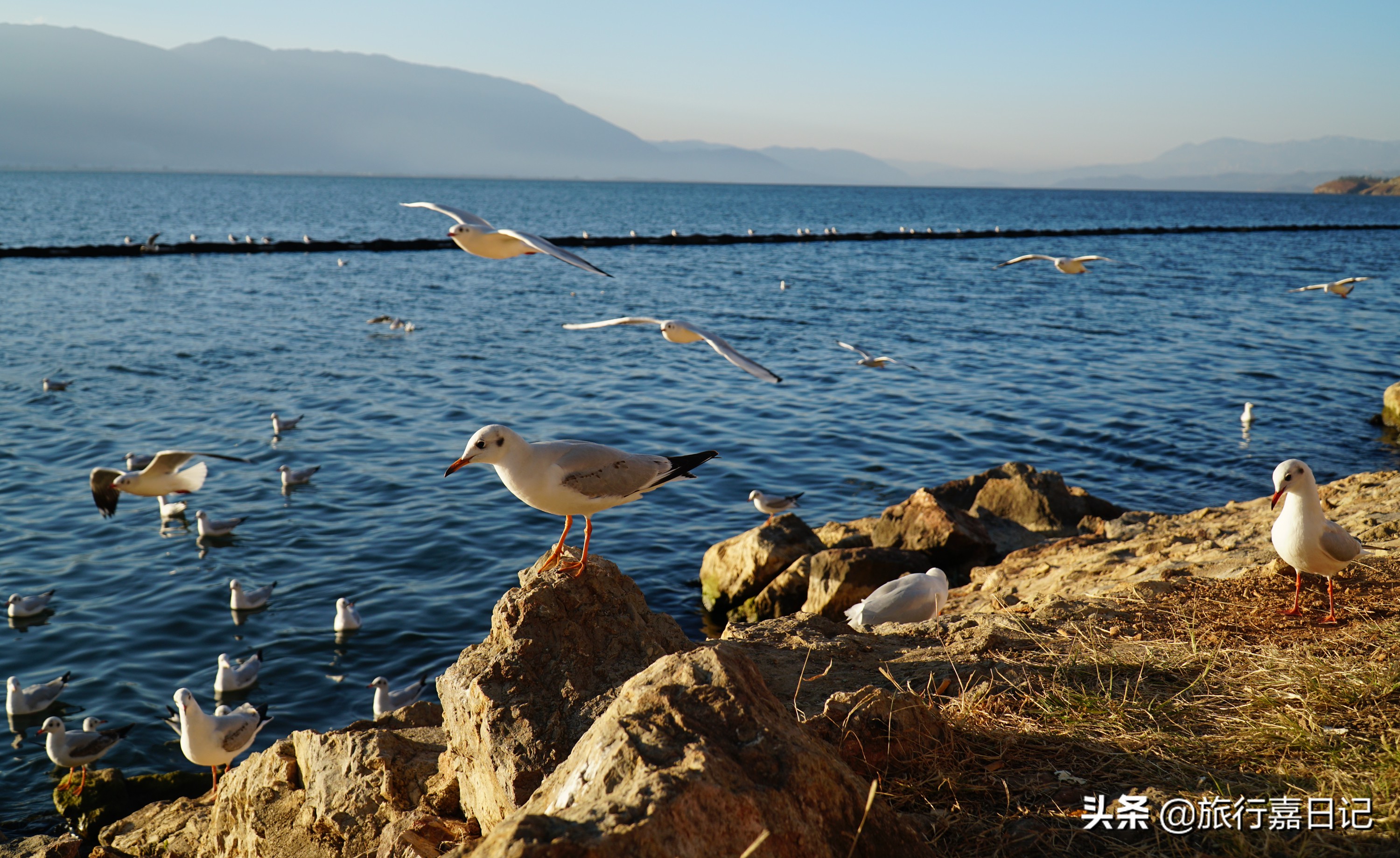 大理是个值得反复去的城市,大理不建议去的几个地方