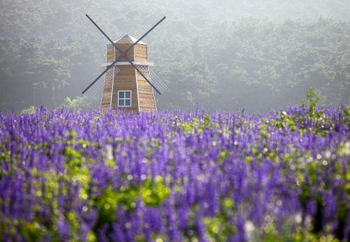 沈阳旅游攻略情侣必玩的景点,沈阳周边适合情侣去的旅游景点