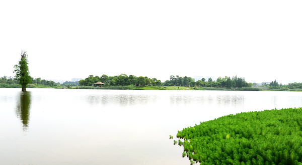 南昌动物园哪里有大象,南昌大象公园