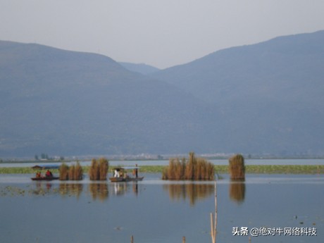 百度一直不收录我的文章怎么办？教你几个小方法