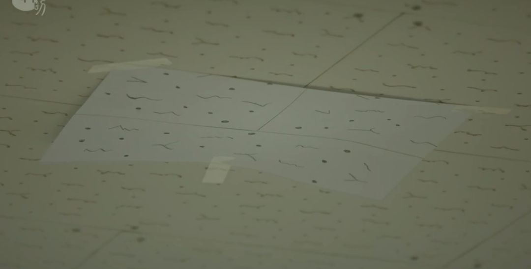 俩男的。一个高冷。一个逗比