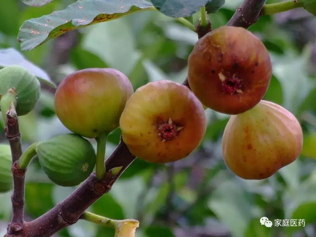 免疫力下降引起皮肤过敏吃什么药,眼睛周围皮肤过敏红肿痒用什么药