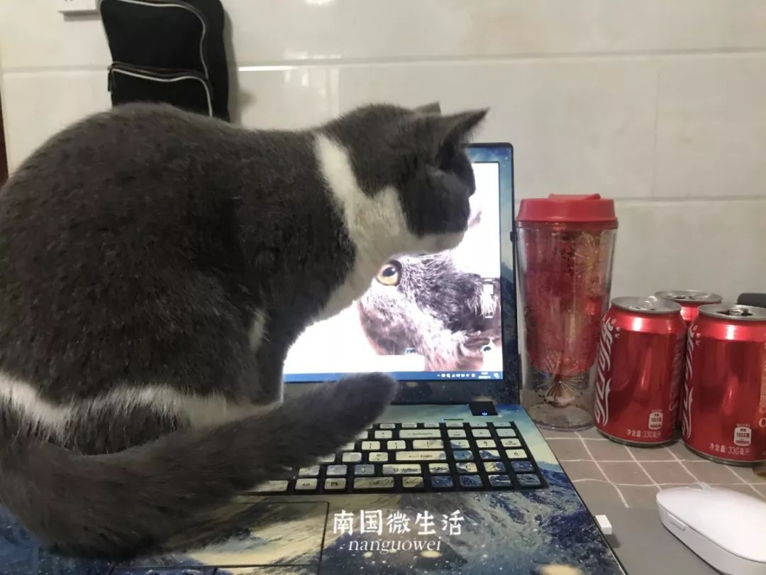 顶不住了！看看在家办公半个月的南宁人