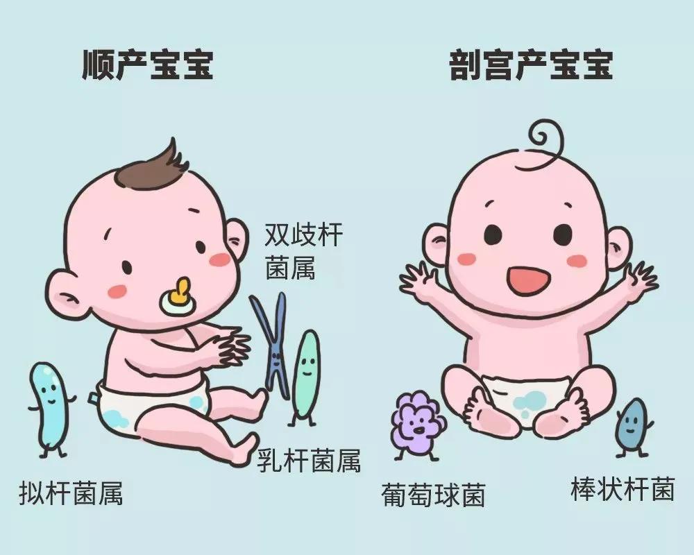 剖腹产经络割断了能恢复吗,剖腹产切断经络永久不能恢复吗