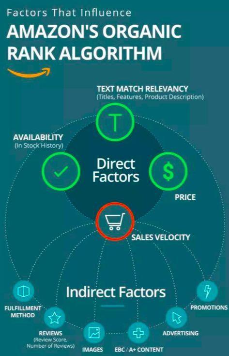 亚马逊跨境电商面试成功经历,亚马逊跨境电商需要什么基础知识