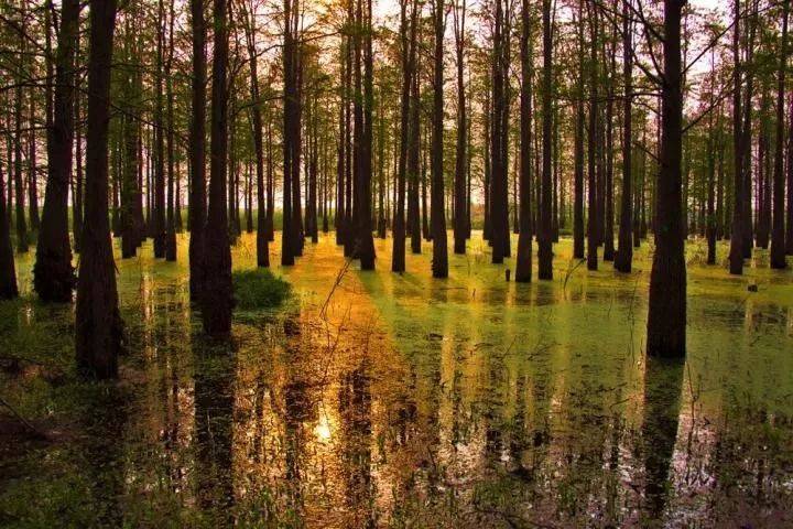 清远森波拉温泉度假村酒店好玩吗,清远森波拉温泉度假酒店附近景点