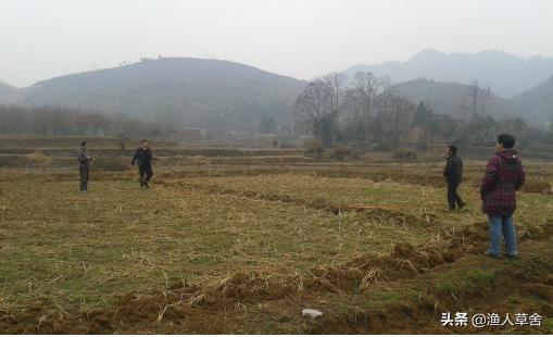 一公顷等于多少英亩多少亩,一英亩等于多少亩