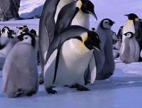 头皮瘙痒头屑多脱发严重,冬季头皮干燥头屑多怎么办