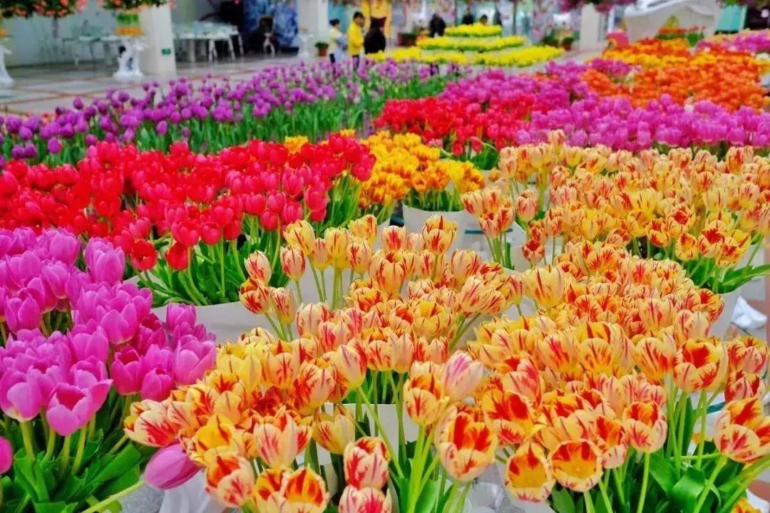 春节游玩攻略正式上线,春节嗨玩攻略