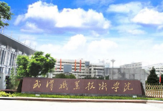 请问湖北有哪些好的职业技术学院,湖北本科职业技术学校排名