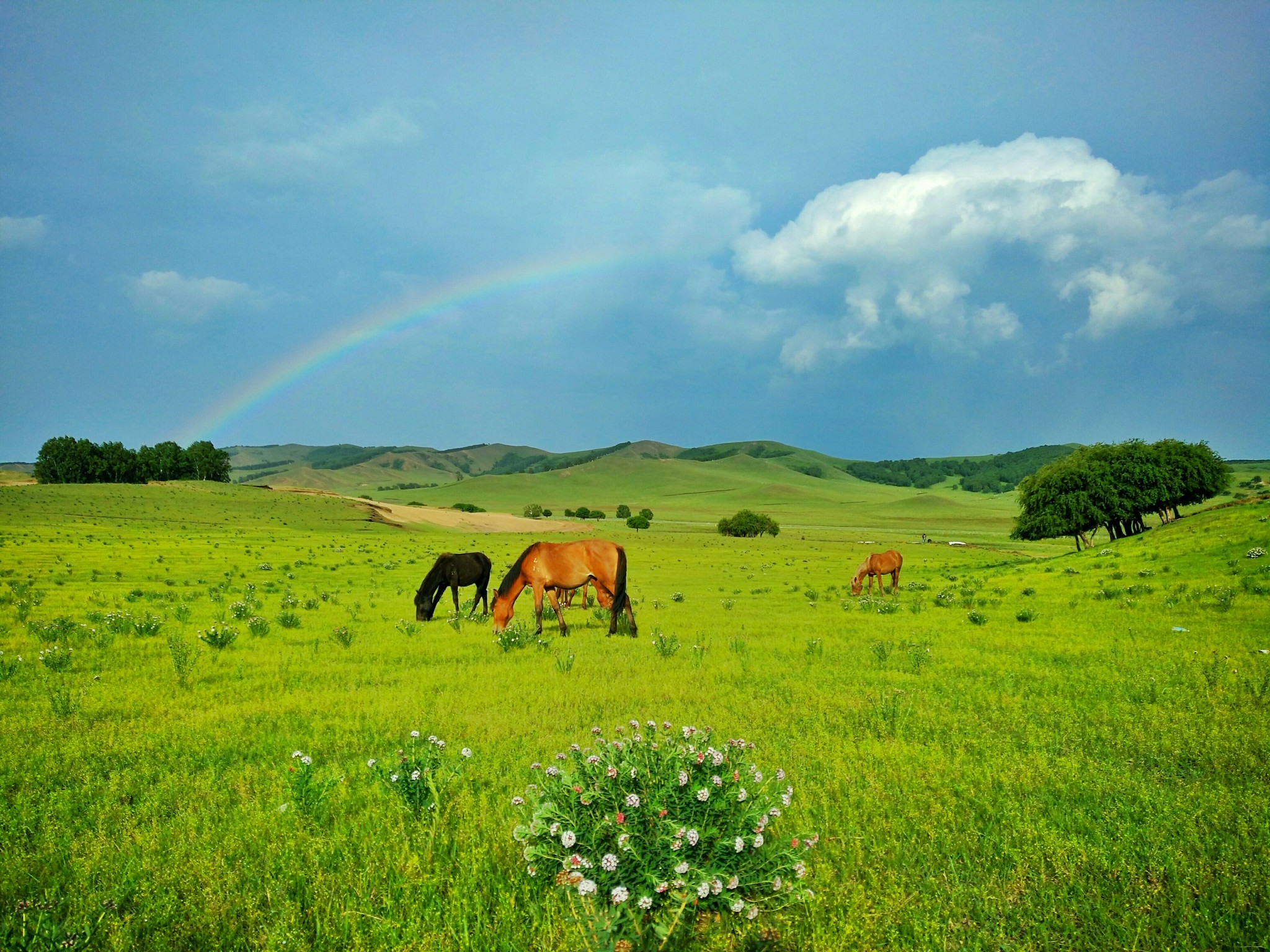 七月份去坝上,7月份去坝上会下雨吗