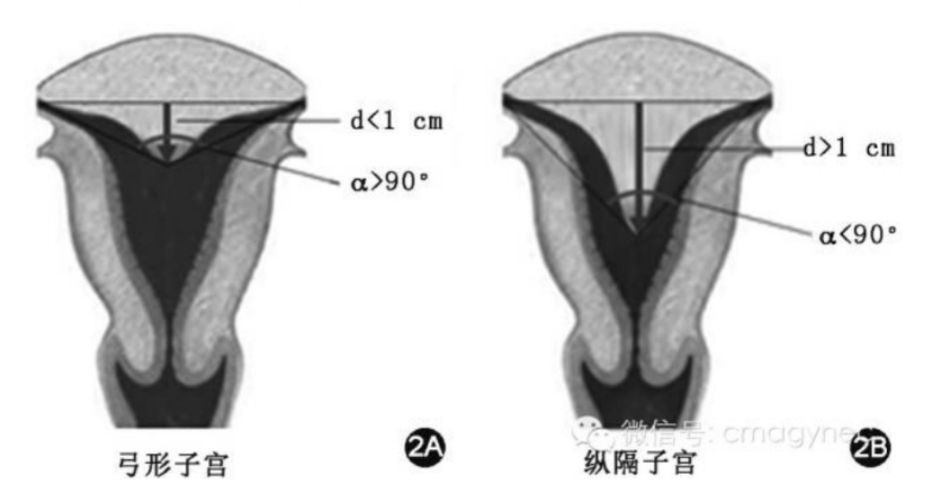 二十七年的坚持终于迎来转机,七年的努力和辛苦