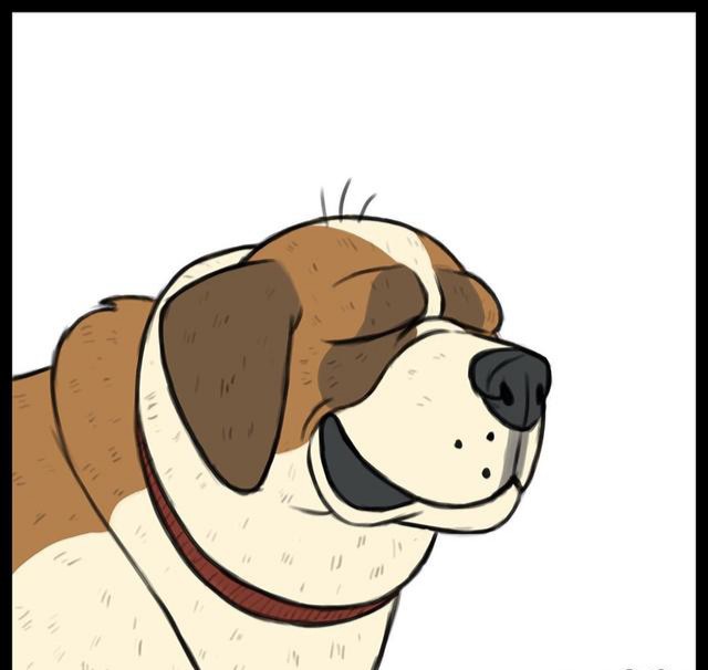 大狼狗和小奶喵:兰道尔终于被制裁了