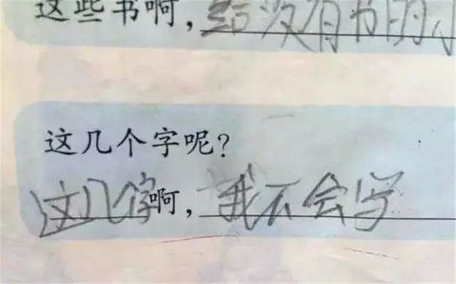熊孩子写作业无语,熊孩子不自觉写作业的下场