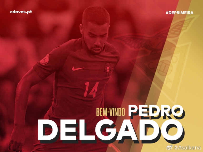 鲁能德尔加多可以代表中国出战吗,鲁能分析德尔加多