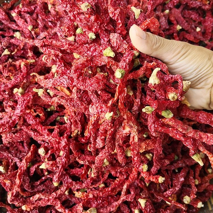 中国最辣的辣椒出自贵州吗,四川最辣的辣椒是什么