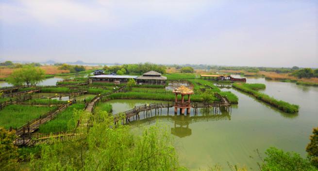 出发开往春天的高铁,出发绿城