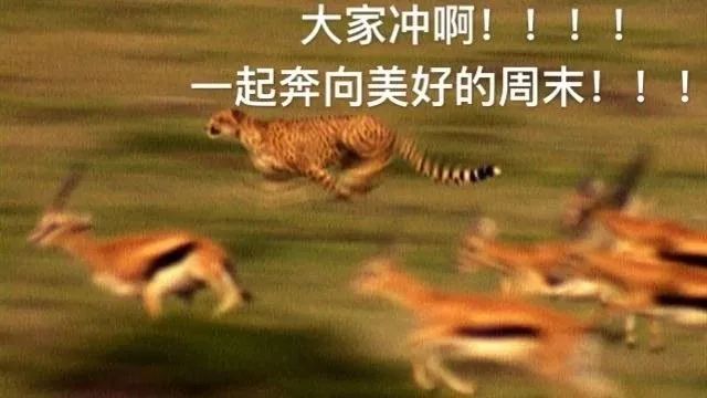 南通人才福利,南通costco超市开在哪里