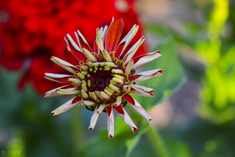 贵州三支一扶期满最新政策,江苏三支一扶期满后怎么办