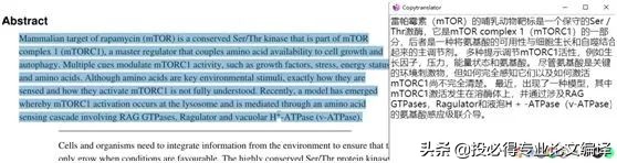 一文解决中英参考文献混排问题,一文搞定英语写作技巧