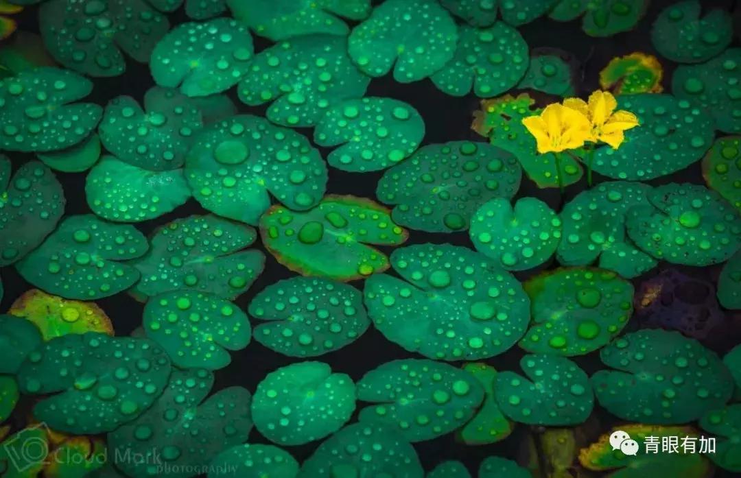 闺蜜当小三是什么体验,自己的闺蜜当小三什么感受