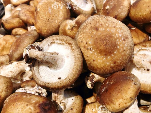 买香菇挑湿的买还是干的买,买香菇应该买大的还是买小的