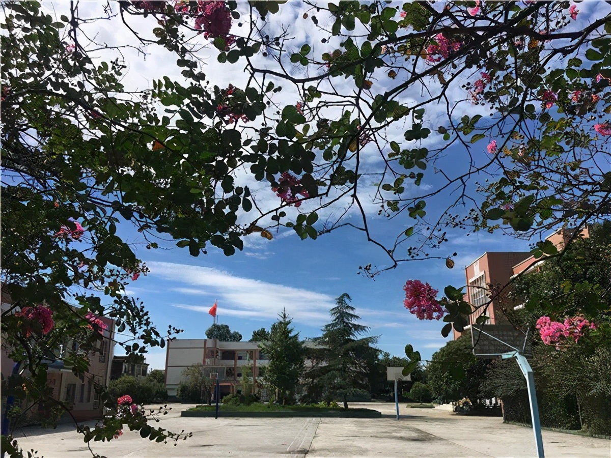 关于春天的小学生优秀作文,小学生作文春天的校园优秀范文