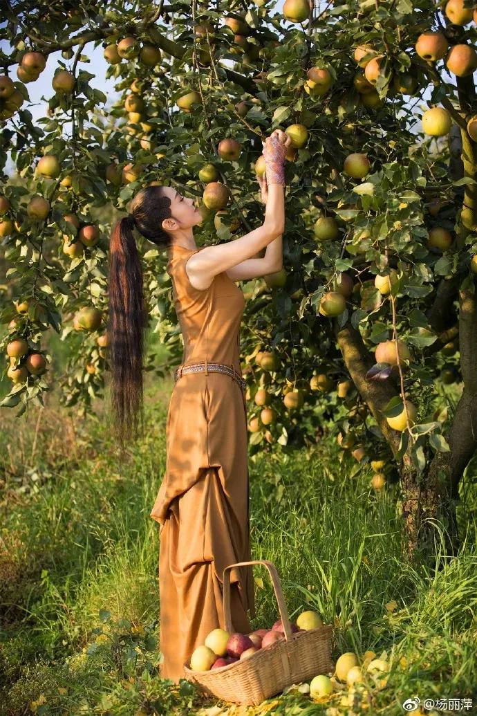 有一种向往叫西双版纳,有一种向往叫诗和远方完整版