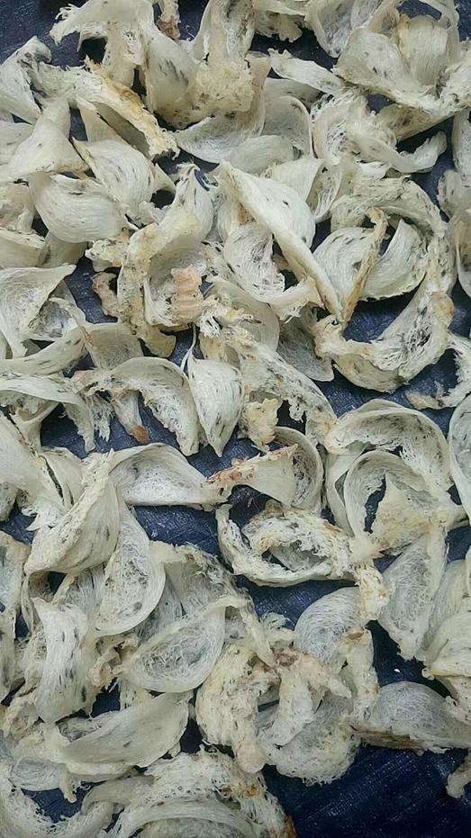 燕窝知识儿童篇,你不知道的营养知识