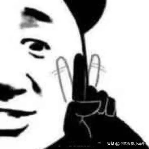 天猫旗舰店卖假货的惩罚力度,天猫商家卖假货天猫官方有责任吗