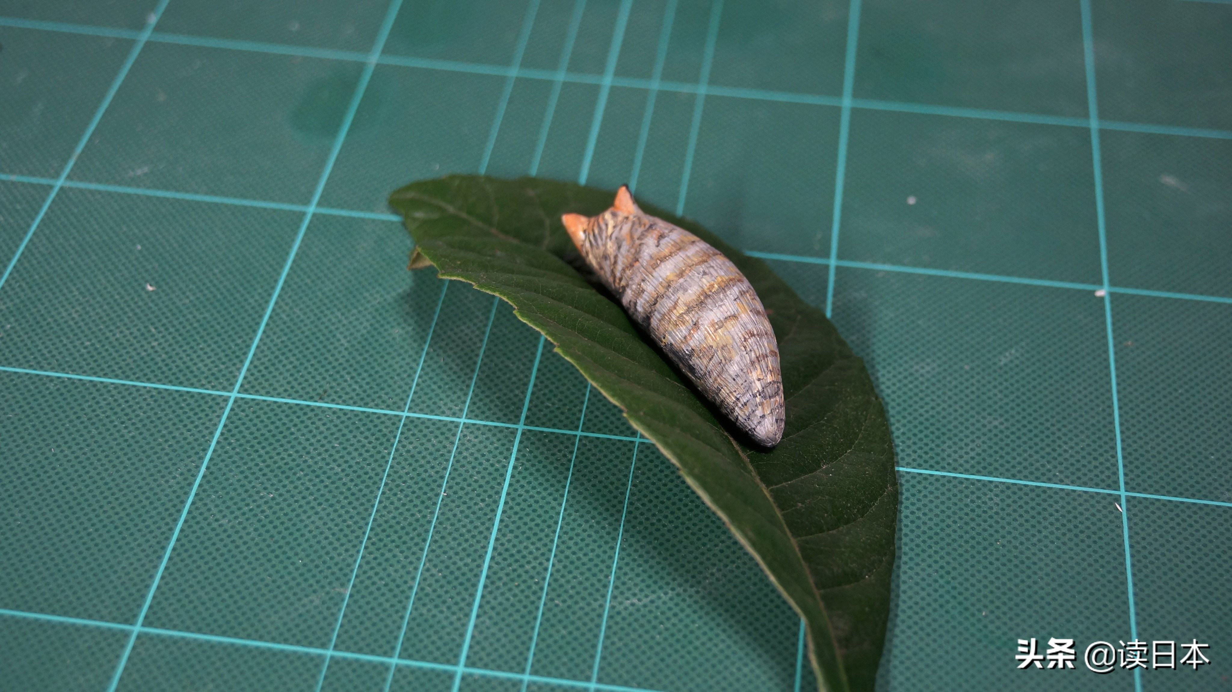 沙雕手办日本小哥,日本沙雕手办小哥