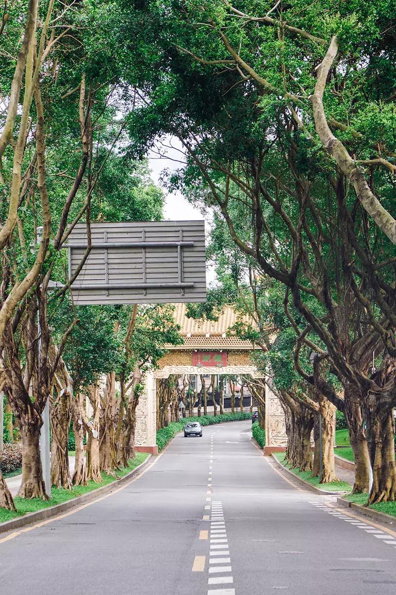 深圳银湖山游玩,深圳银湖有什么好玩的地方