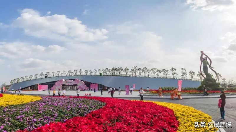 第八届贺岁杯怎么没有潘晓婷,cctv贺岁杯决赛