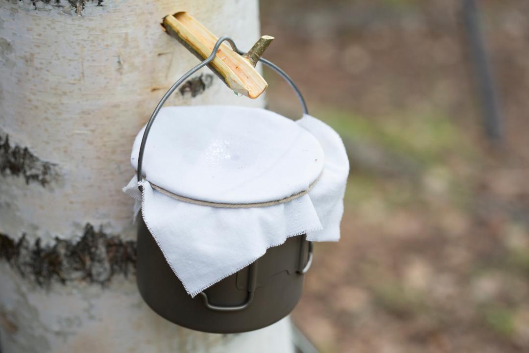 养生堂治疗皮肤痒,养生堂治疗皮肤瘙痒的偏方