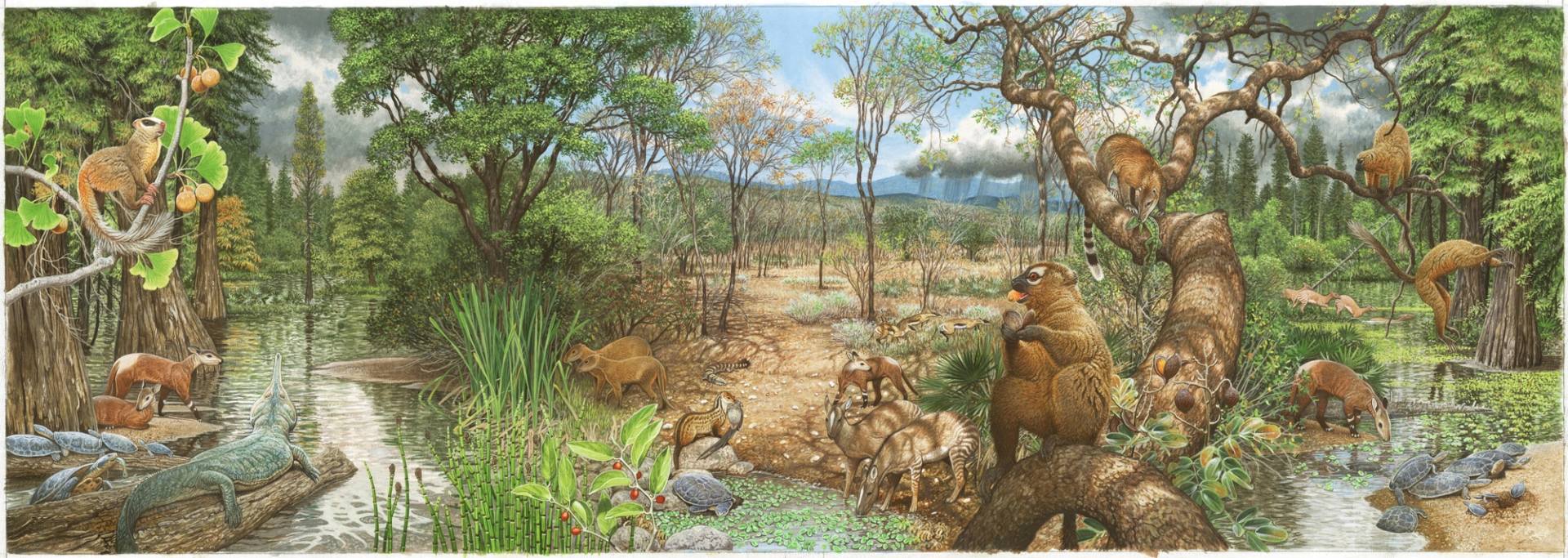 地球曾出现十大最大的蛇,地球有史以来最大的蛇