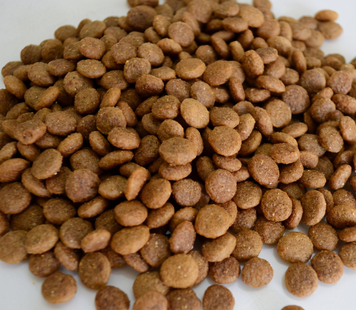 贵宾犬吃什么牌子的狗粮好,贵宾犬吃什么牌子狗粮好吃一点