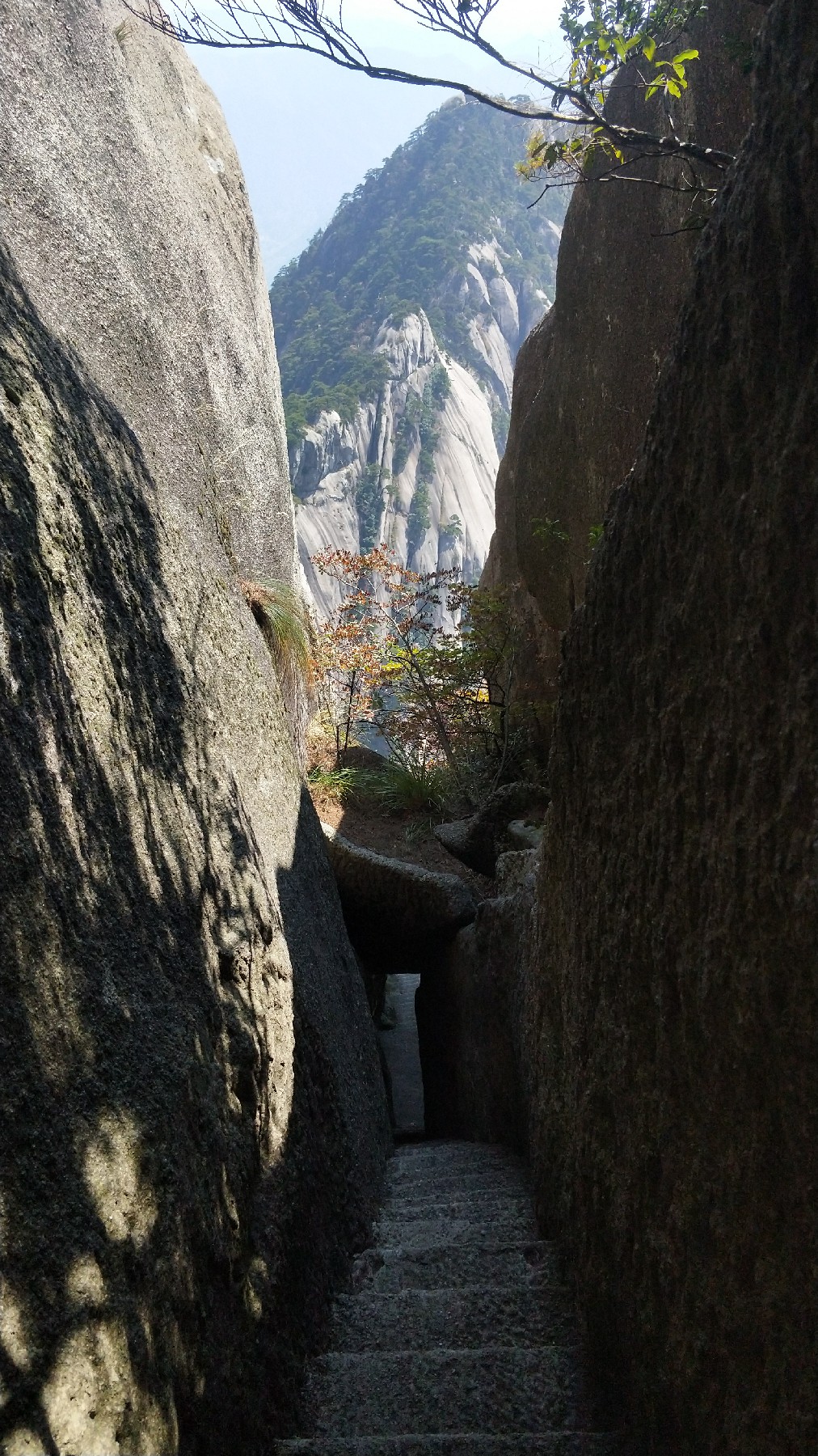 灏戝勾鏃剁殑姊︽兂榛勫北,瀛︾敓鏃朵唬姊︽兂