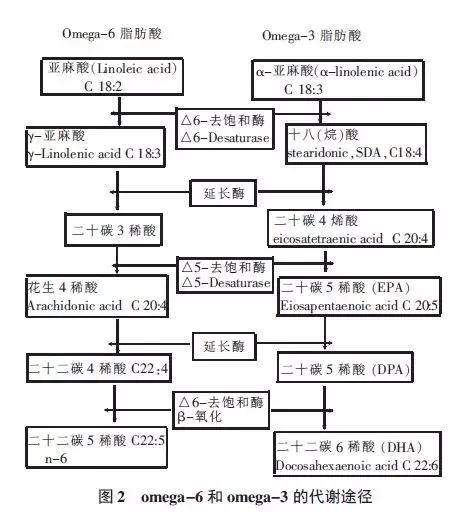 核桃油对孩子的脑子发育有帮助吗,核桃油蓝莓叶黄素是不是智商税
