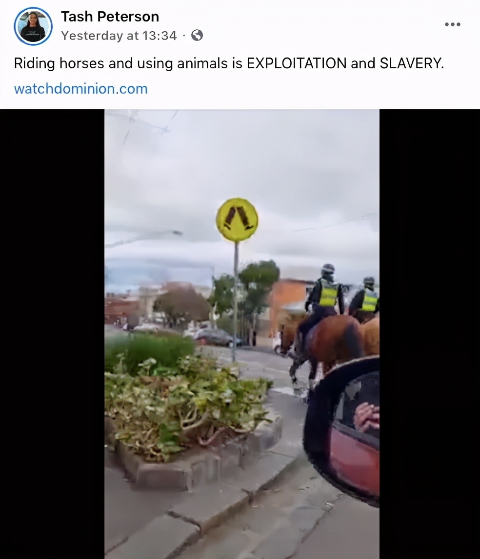 外国妹子冲进肯德基泼血怒吼：吃肉是大*杀屠**！网友们：有病？