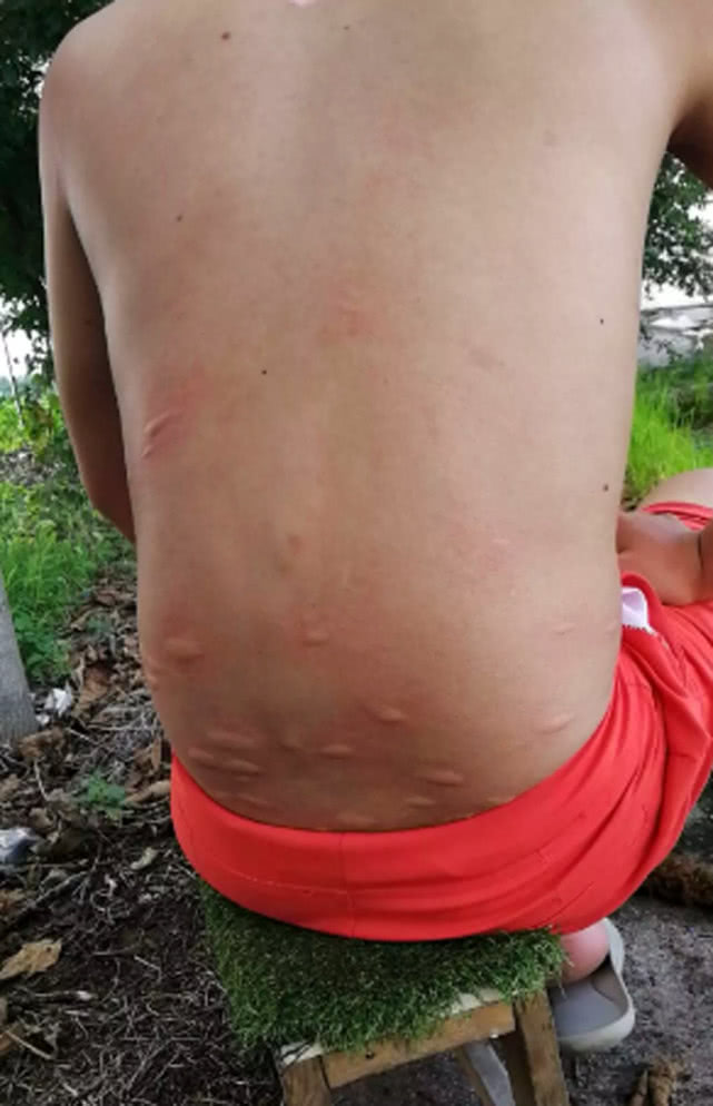 钓鱼人的精神视频,钓鱼人的精神经典语句