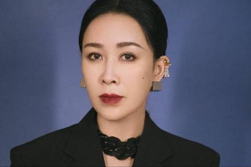 那英有多耿直,耿直那英