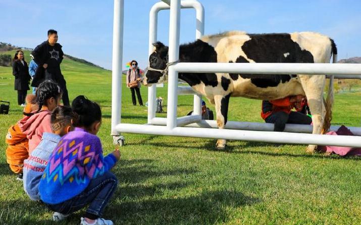 超长记录亲子牧场一日游,暑期草原亲子游攻略