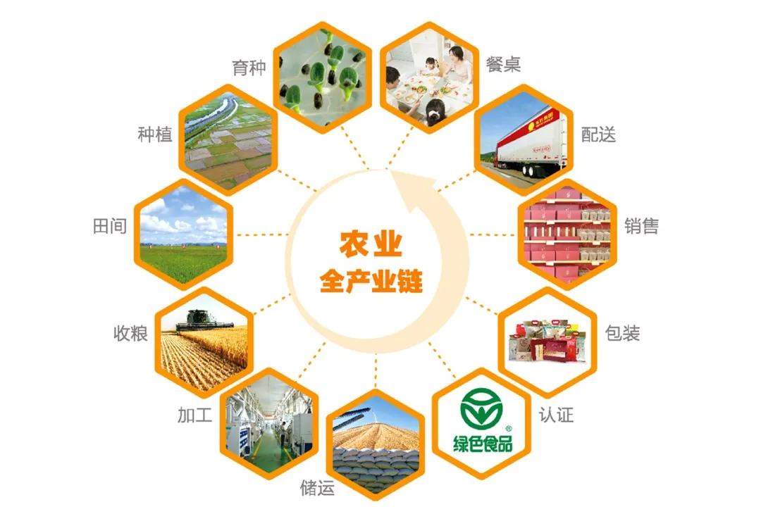 东方集团业绩大全,东方集团公司的2019年度报告