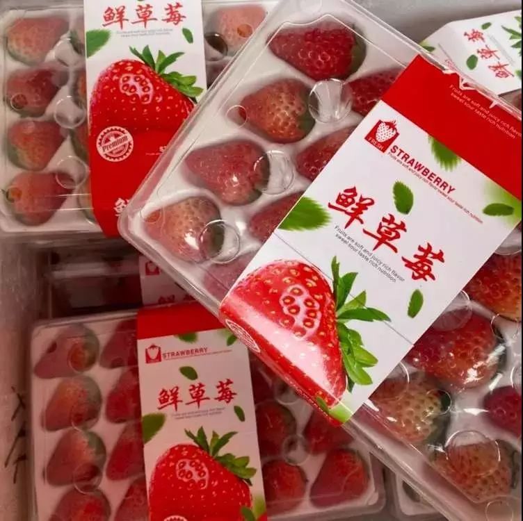 海运车厘子预售,2020海运车厘子到货