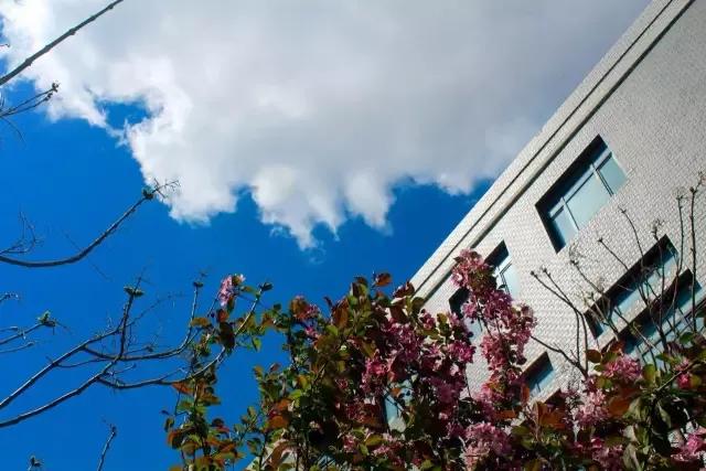 辽宁中医药大学杏林学院有独卫吗,辽宁中医药大学杏林学院属于3+2吗